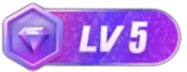 等级-LV5-VOOG官网